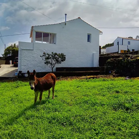 Prázdninový dům Casa Do Marcelino Lagarto