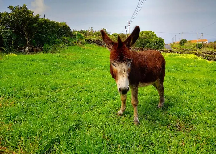 Prázdninový dům Casa Do Marcelino Lagarto
