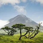Casa Do Marcelino Lagarto Sao Roque do Pico