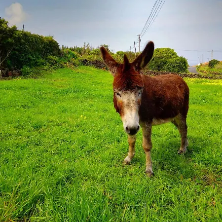 Feriehus Casa Do Marcelino Lagarto