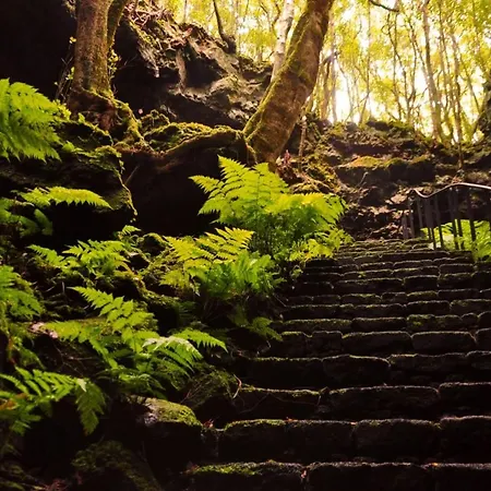 Casa Do Marcelino Lagarto *