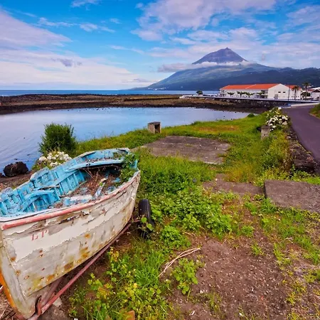 Casa Do Marcelino Lagarto * São Roque do Pico