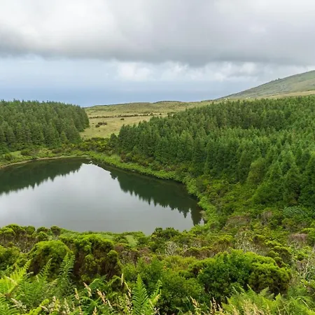 Feriehus Casa Do Marcelino Lagarto São Roque do Pico