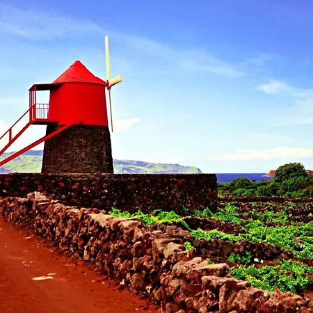 Feriehus Casa Do Marcelino Lagarto São Roque do Pico