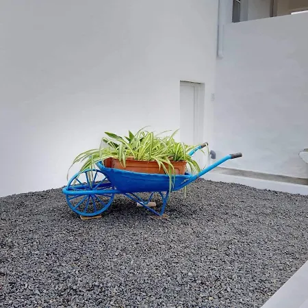 Casa Do Marcelino Lagarto São Roque do Pico