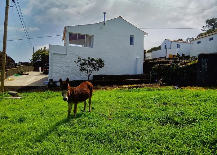 Ferienhaus Casa Do Marcelino Lagarto