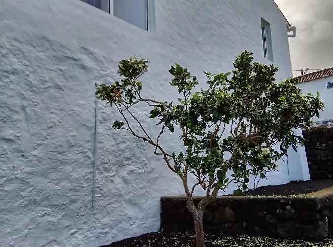 Casa Do Marcelino Lagarto Ferienhaus São Roque do Pico