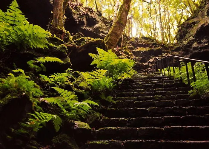 Casa Do Marcelino Lagarto *